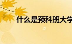 什么是预科班大学（什么是预科班）