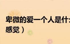 卑微的爱一个人是什么感觉（爱一个人是什么感觉）