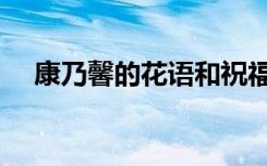 康乃馨的花语和祝福语（康乃馨的花语）
