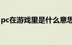 pc在游戏里是什么意思（pc游戏是什么意思）