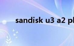 sandisk u3 a2 plus（sandisk u3）