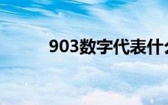 903数字代表什么意思（903sh）