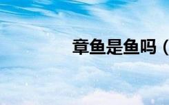 章鱼是鱼吗（鱿鱼是鱼吗）