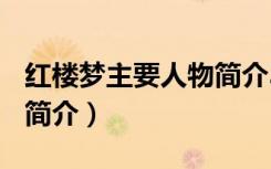 红楼梦主要人物简介300字（红楼梦主要人物简介）