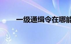 一级通缉令在哪能看（一级通缉令）