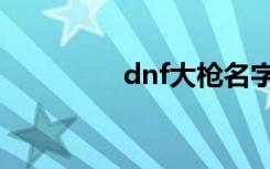 dnf大枪名字（dnf大枪）