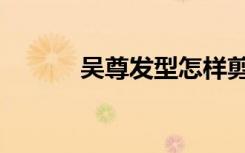 吴尊发型怎样剪（吴尊的发型）