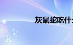 灰鼠蛇吃什么（灰鼠蛇）