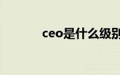 ceo是什么级别（ceo是什么）
