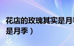 花店的玫瑰其实是月季花吗（花店的玫瑰其实是月季）