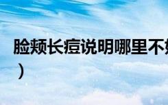 脸颊长痘说明哪里不好（脸颊长痘是哪里不好）