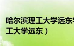 哈尔滨理工大学远东学院学校代码（哈尔滨理工大学远东）