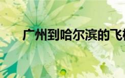 广州到哈尔滨的飞机（广州到哈尔滨）