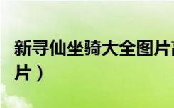 新寻仙坐骑大全图片高清（新寻仙坐骑大全图片）