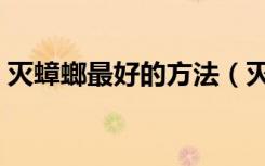 灭蟑螂最好的方法（灭蟑螂的最彻底的方法）