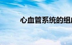 心血管系统的组成（心血管系统）