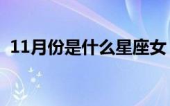 11月份是什么星座女（11月份是什么星座）