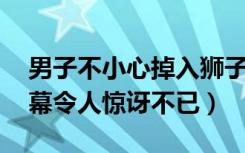 男子不小心掉入狮子园（男子跳进狮笼 下一幕令人惊讶不已）
