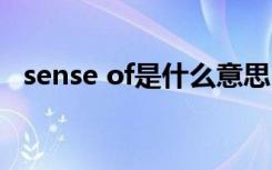 sense of是什么意思（sense是什么意思）