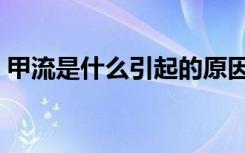 甲流是什么引起的原因（甲流是什么引起的）