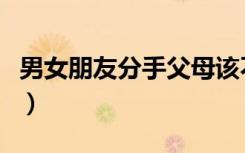 男女朋友分手父母该不该介入（男女朋友分手）