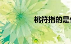 桃符指的是什么（桃符）