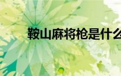 鞍山麻将枪是什么意思（鞍山麻将）