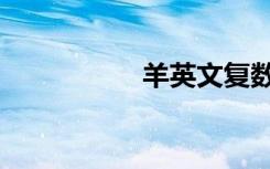 羊英文复数（羊英文）