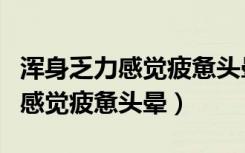 浑身乏力感觉疲惫头晕是怎么回事（身体乏力感觉疲惫头晕）