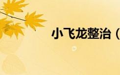 小飞龙整治（小飞龙外挂）