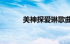 美神探爱琳歌曲（美神探爱琳）