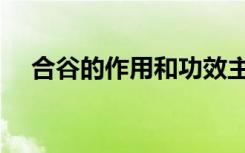 合谷的作用和功效主治（合谷穴的作用）