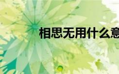 相思无用什么意思（相思无用）