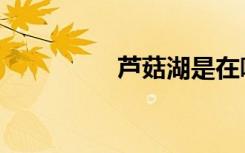 芦菇湖是在哪里（芦菇）
