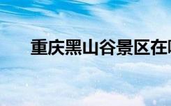重庆黑山谷景区在哪里（重庆黑山谷）