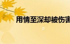 用情至深却被伤害的诗（用情至深）