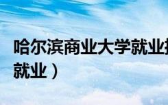 哈尔滨商业大学就业推荐表（哈尔滨商业大学就业）