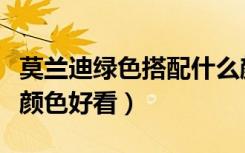莫兰迪绿色搭配什么颜色好看（绿色搭配什么颜色好看）