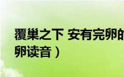 覆巢之下 安有完卵的意思（覆巢之下安有完卵读音）