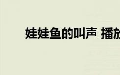 娃娃鱼的叫声 播放（娃娃鱼的叫声）