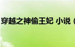 穿越之神偷王妃 小说（梦幻穿越之神偷皇后）