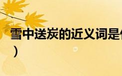 雪中送炭的近义词是什么（雪中送炭的近义词）