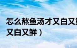 怎么熬鱼汤才又白又鲜又好喝（怎么熬鱼汤才又白又鲜）