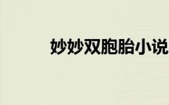 妙妙双胞胎小说（妙妙双胞胎2）