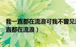 我一直都在流浪可我不曾见过海洋什么意思是什么歌（我一直都在流浪）