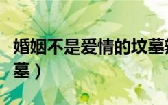 婚姻不是爱情的坟墓辩论（婚姻不是爱情的坟墓）