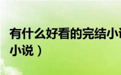 有什么好看的完结小说吗（有什么好看的完结小说）