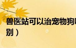 兽医站可以治宠物狗吗（兽医站与宠物医院区别）