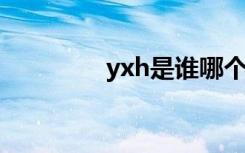 yxh是谁哪个艺人（yx榜）