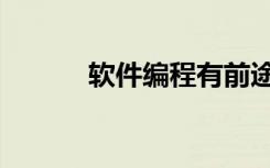 软件编程有前途吗（软件编程）